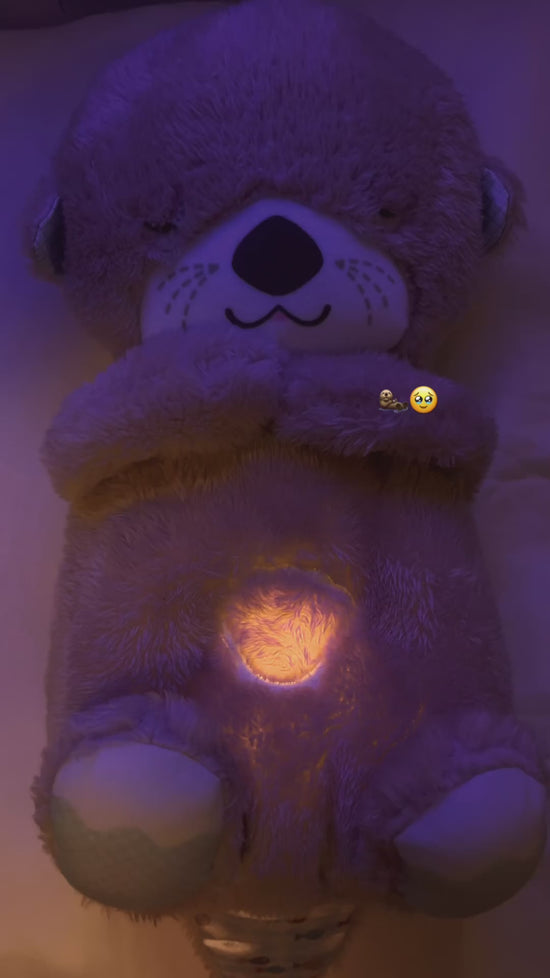 Breathing Teddy Otter